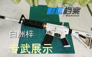 Download Video: 蔚蓝档案 白洲梓 专武展示