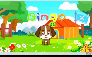 Download Video: Bingo