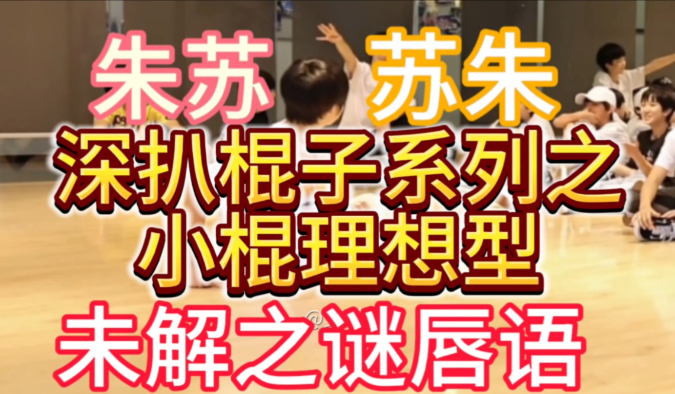 【朱苏/苏朱】深扒棍子底裤系列,原来苏慧是棍子理想型哔哩哔哩bilibili