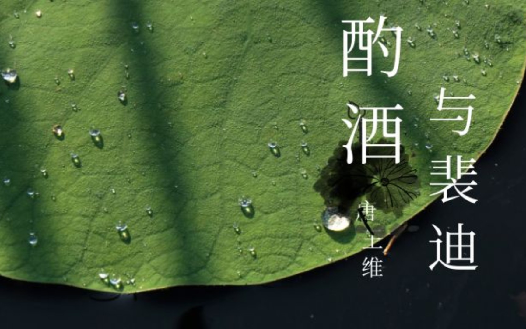 酌酒与裴迪【唐 王维】