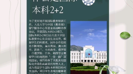 大连大学国际本科(2+2)哔哩哔哩bilibili