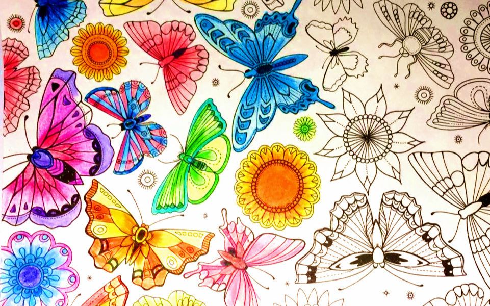 秘密花园涂色彩色的蝴蝶色彩学习