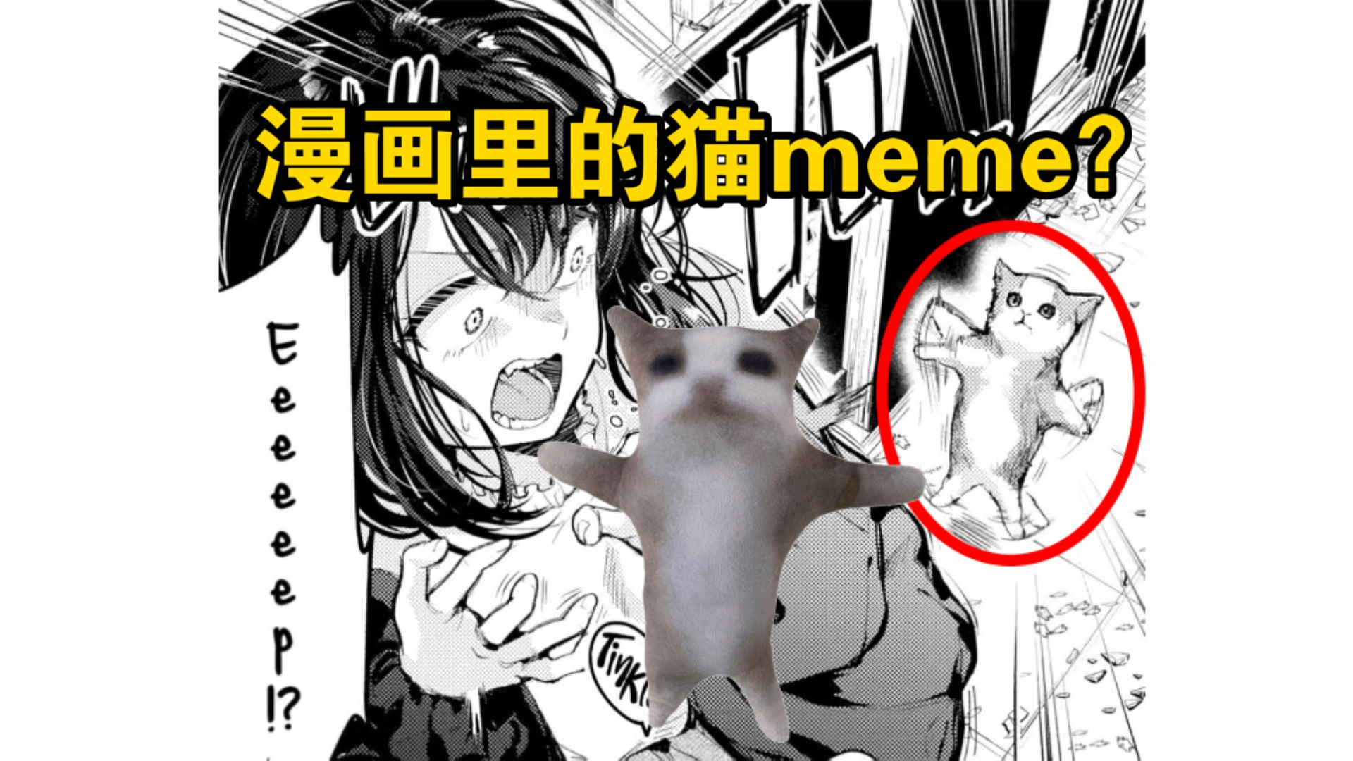 这是什么漫画?怎么会有那么多猫meme哔哩哔哩bilibili