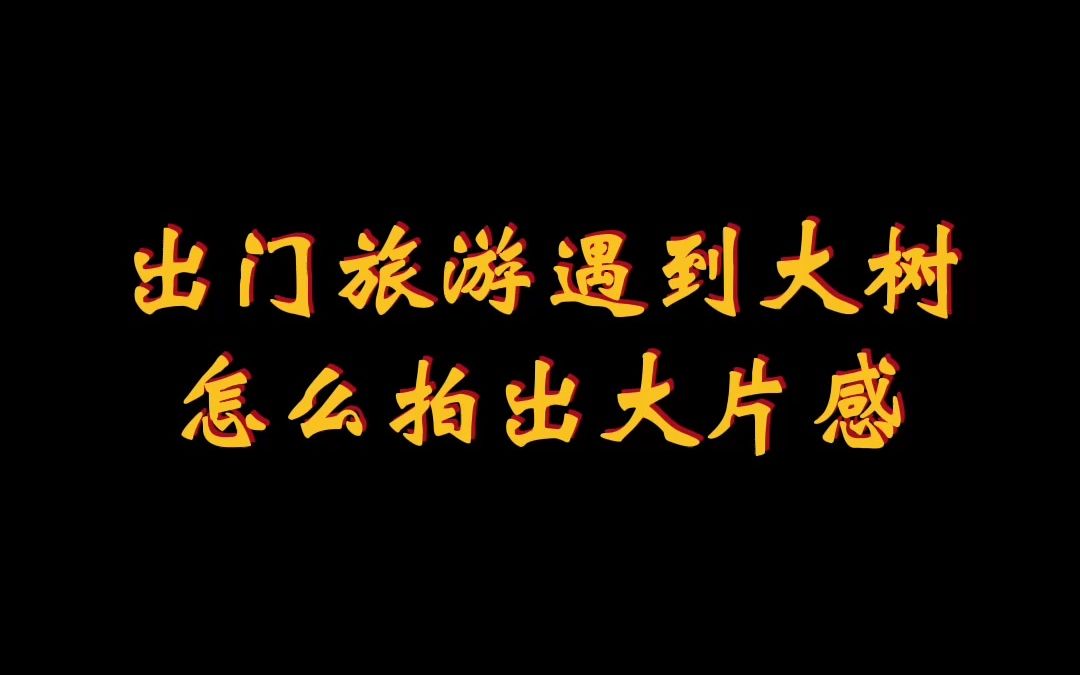 【拍照】遇到大树,怎么拍出有意境感好看的照片哔哩哔哩bilibili