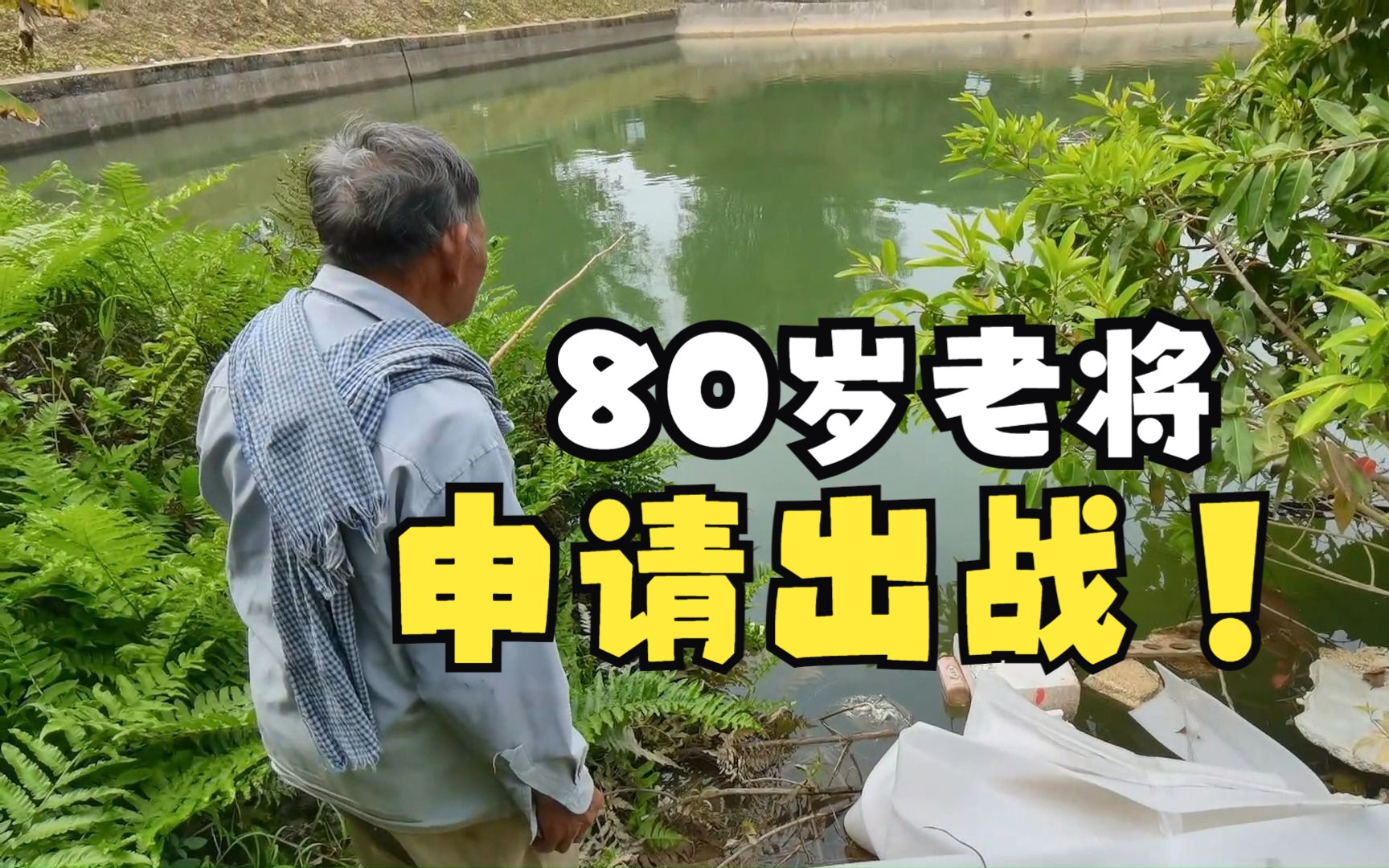 开局捡到一根神竿,80岁老将申请出战!