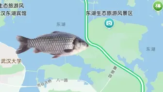 鸿蒙NEXT赛博放生功能
