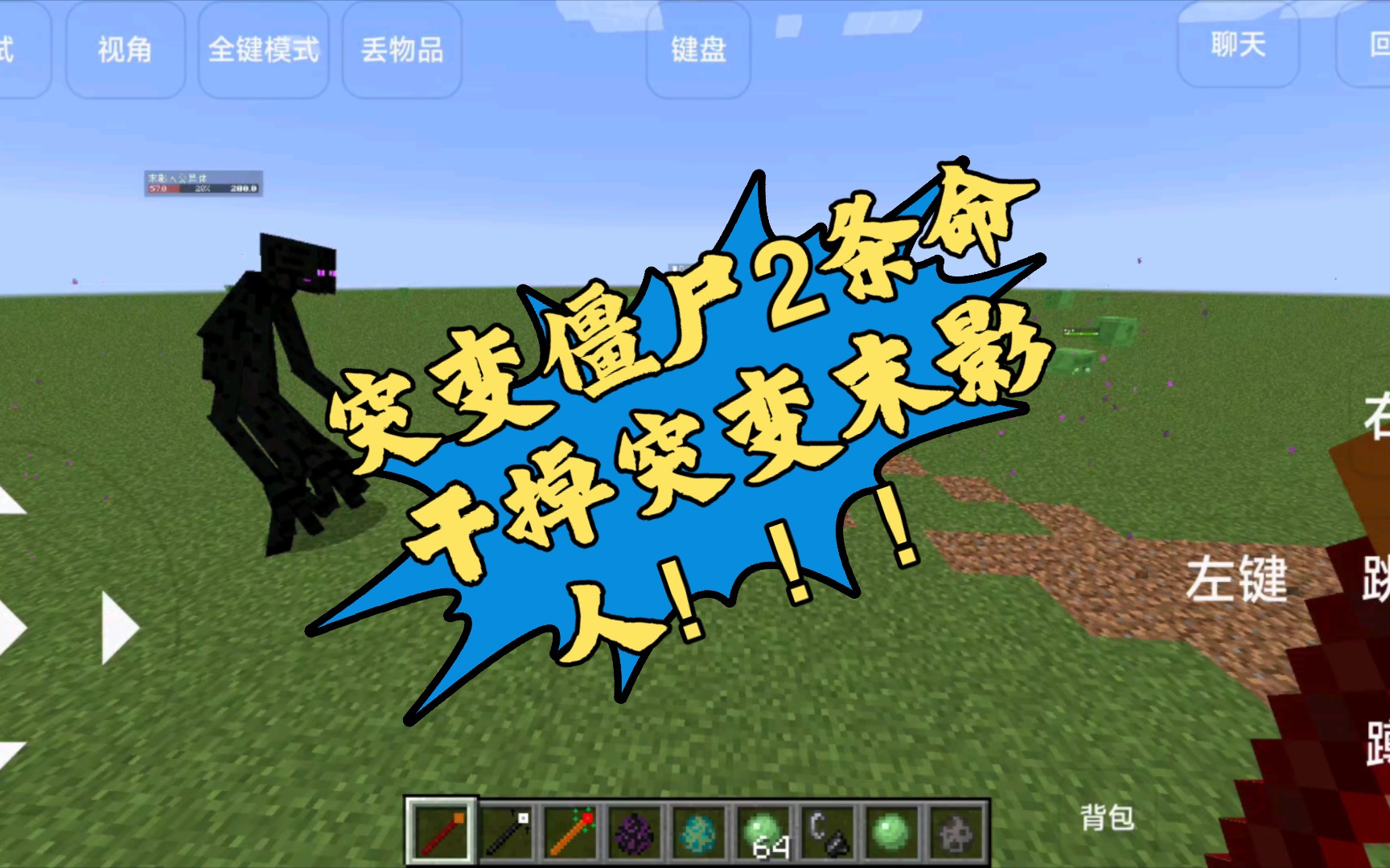 [minecraft java]突变僵尸到底多强?2条命干掉突变末影人!