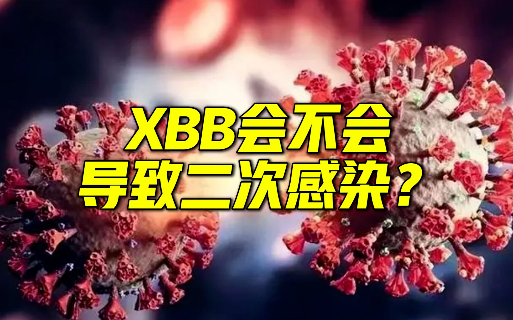 XBB会不会导致二次感染?专家解读哔哩哔哩bilibili