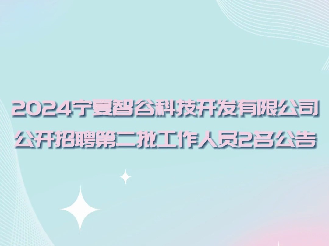 2024宁夏智谷科技开发有限公司公开招聘工作人员2名公告哔哩哔哩bilibili