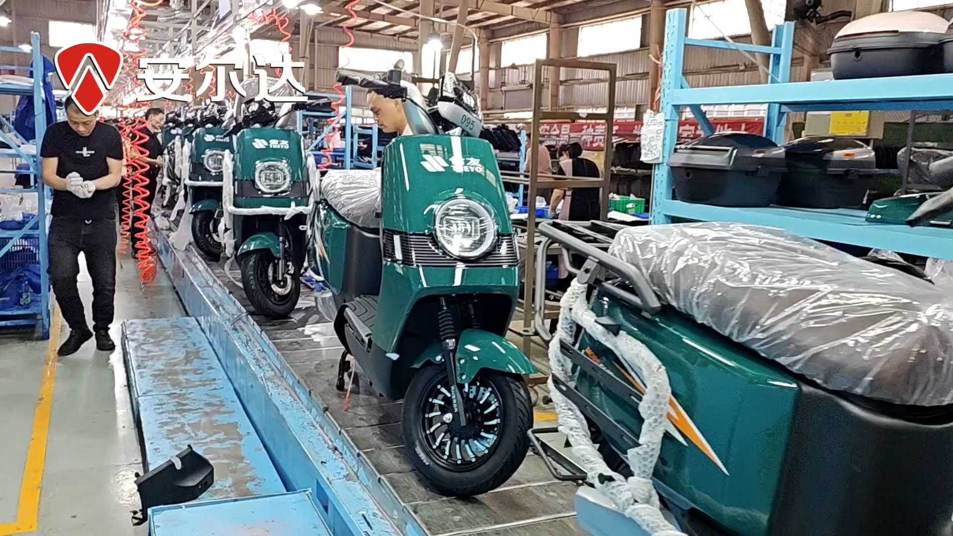 雀友定制款 安尔达电动车