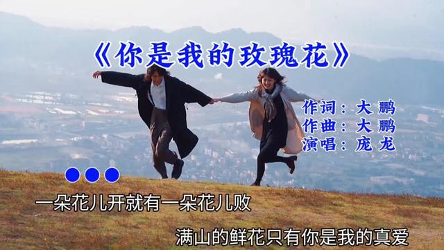 经典老歌 #你是我的玫瑰花 #庞龙