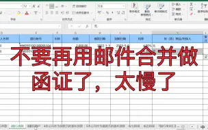 Download Video: 银行函证批量生成工具(新模版）