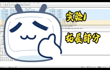 网络协议分析实验1拓展部分王绍强老师哔哩哔哩bilibili