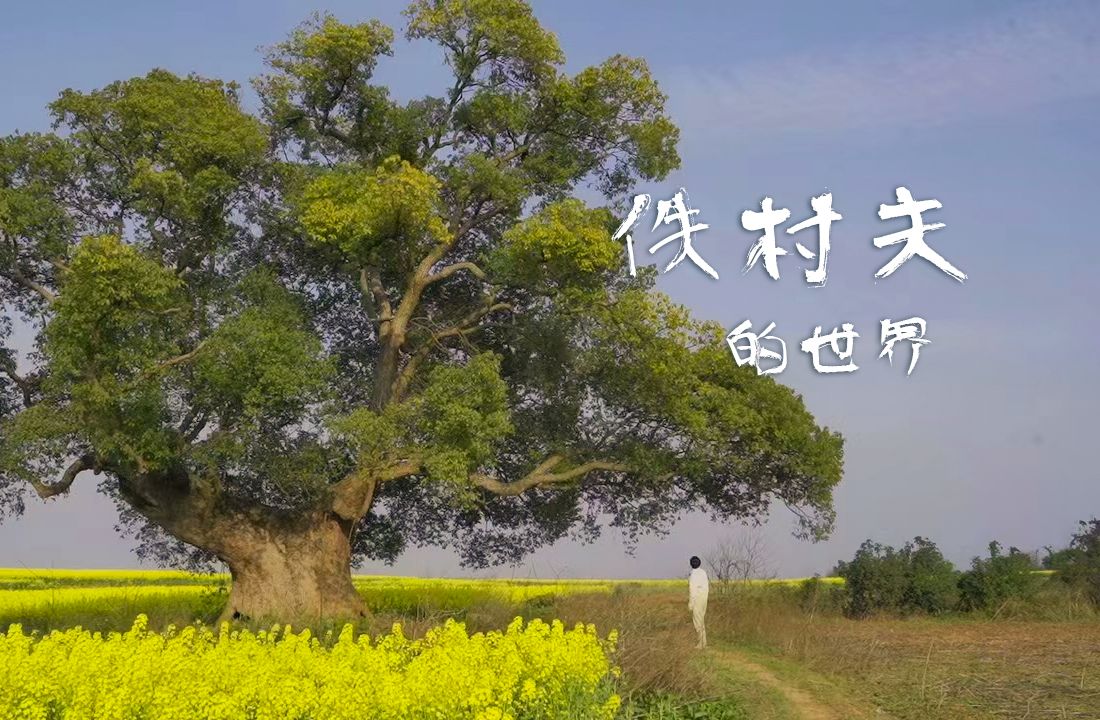 人间处处是风景，此处安心是吾乡，一部关于我的纪录片