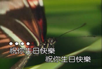 [图]『群星/动物百科2』VCD影碟