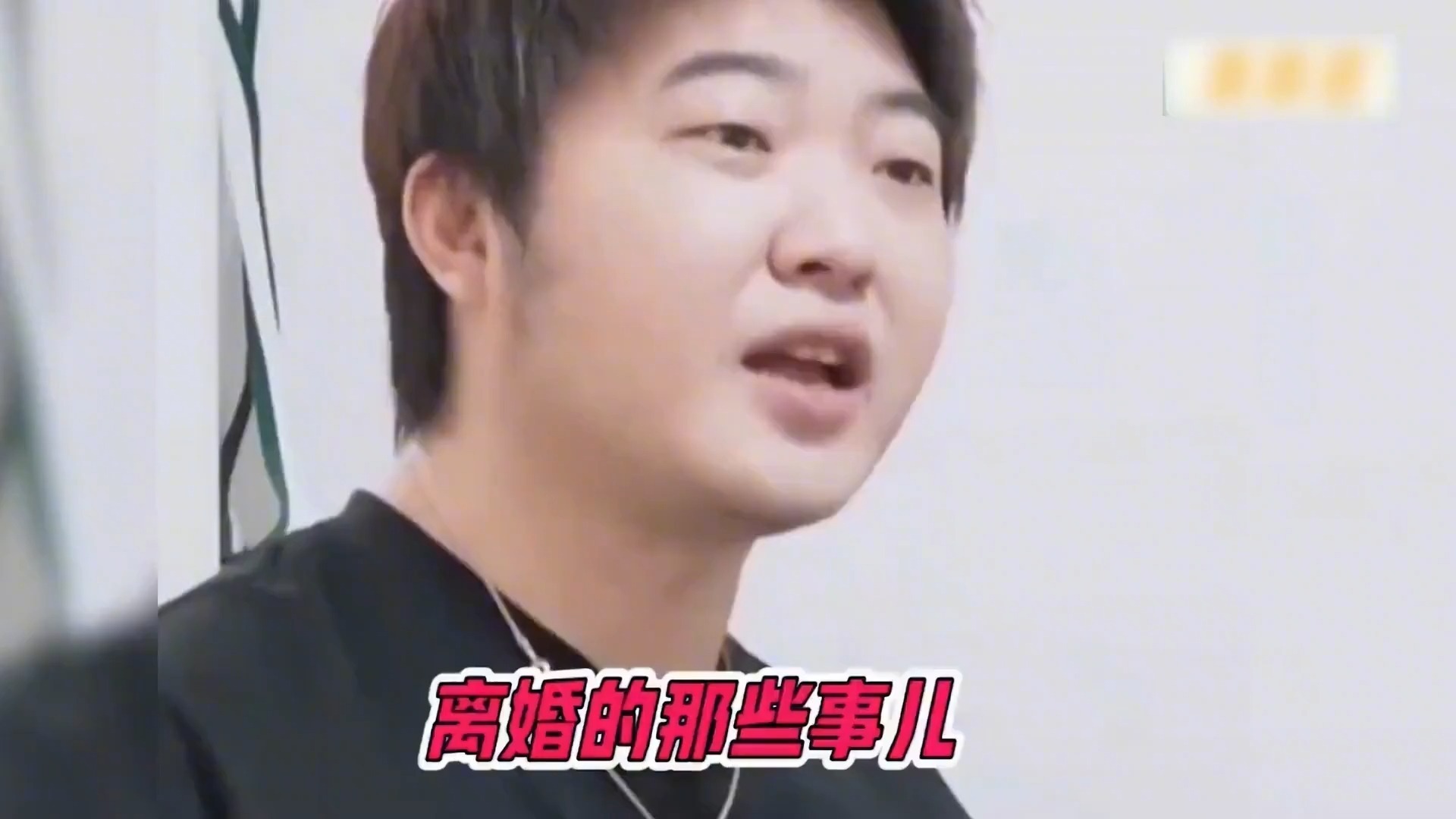 吴彤嘴瓢社死现场,"得罪"明星只是日常#看一遍笑一遍 #这谁顶得住啊