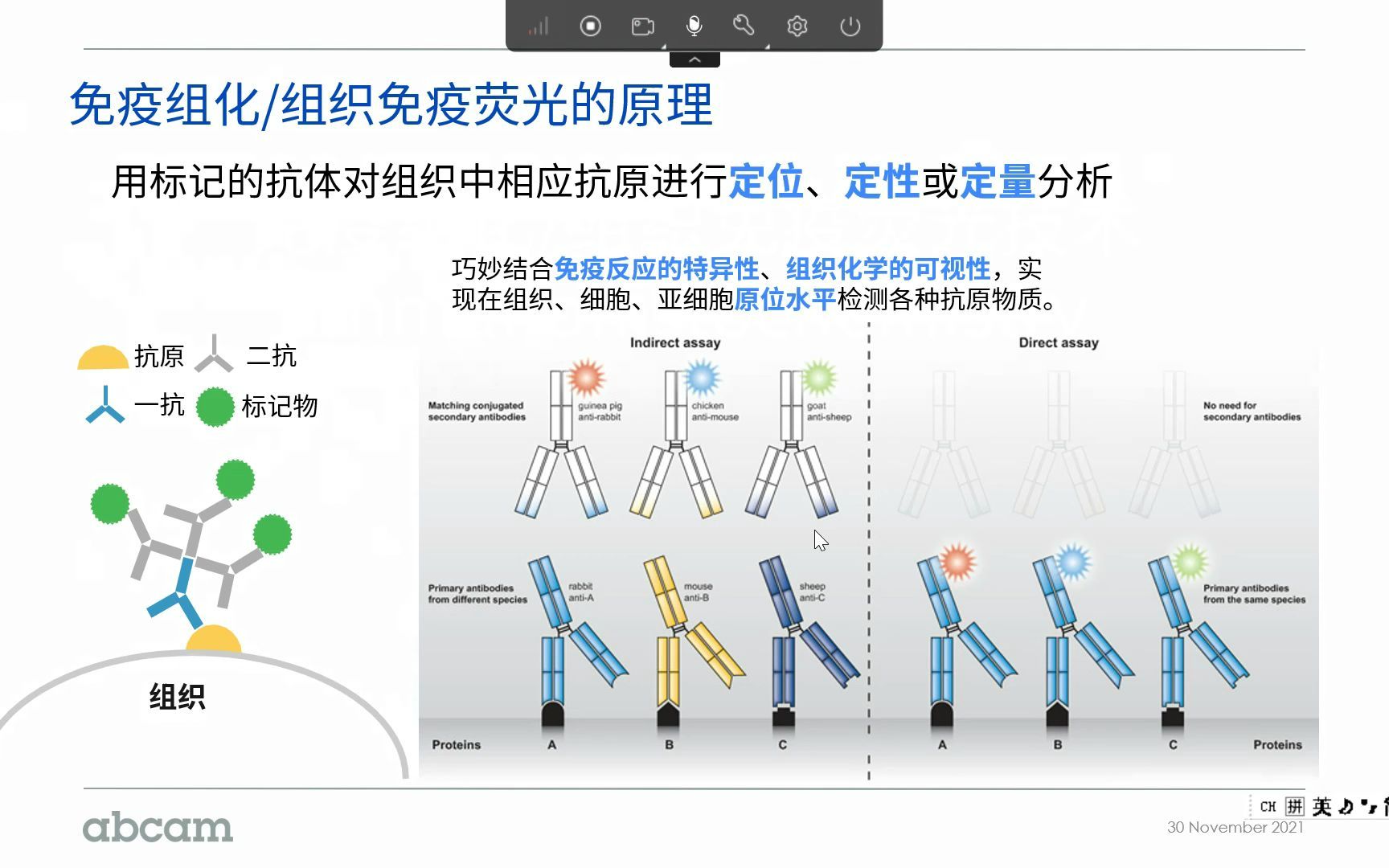 欢迎观看免疫组化/组织免疫荧光技术  免疫组化原理及主要流程梳理哔哩哔哩bilibili