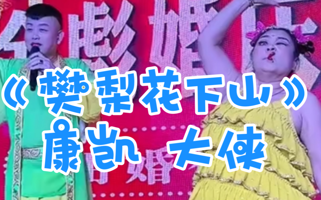 二人转《樊梨花下山》康凯、大侠 20230213 金彪大戏院演出实况哔哩哔哩bilibili