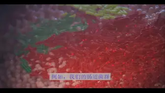 跨物种工程化的氨基酸交叉饲喂可提高合成细菌联盟中的种群均匀度 AEM介绍视频