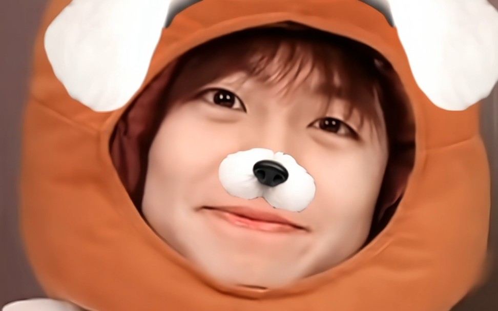 【小潮院长】可爱小狗壁纸!