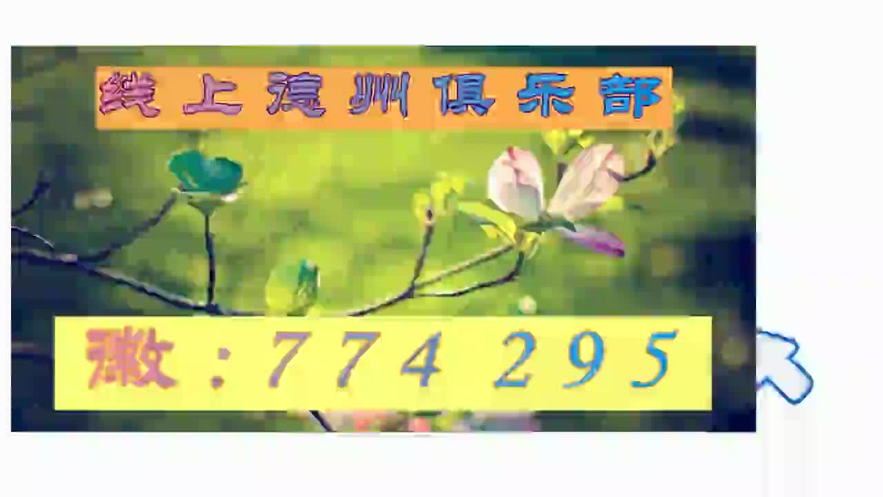 8分秒懂红龙扑克电话