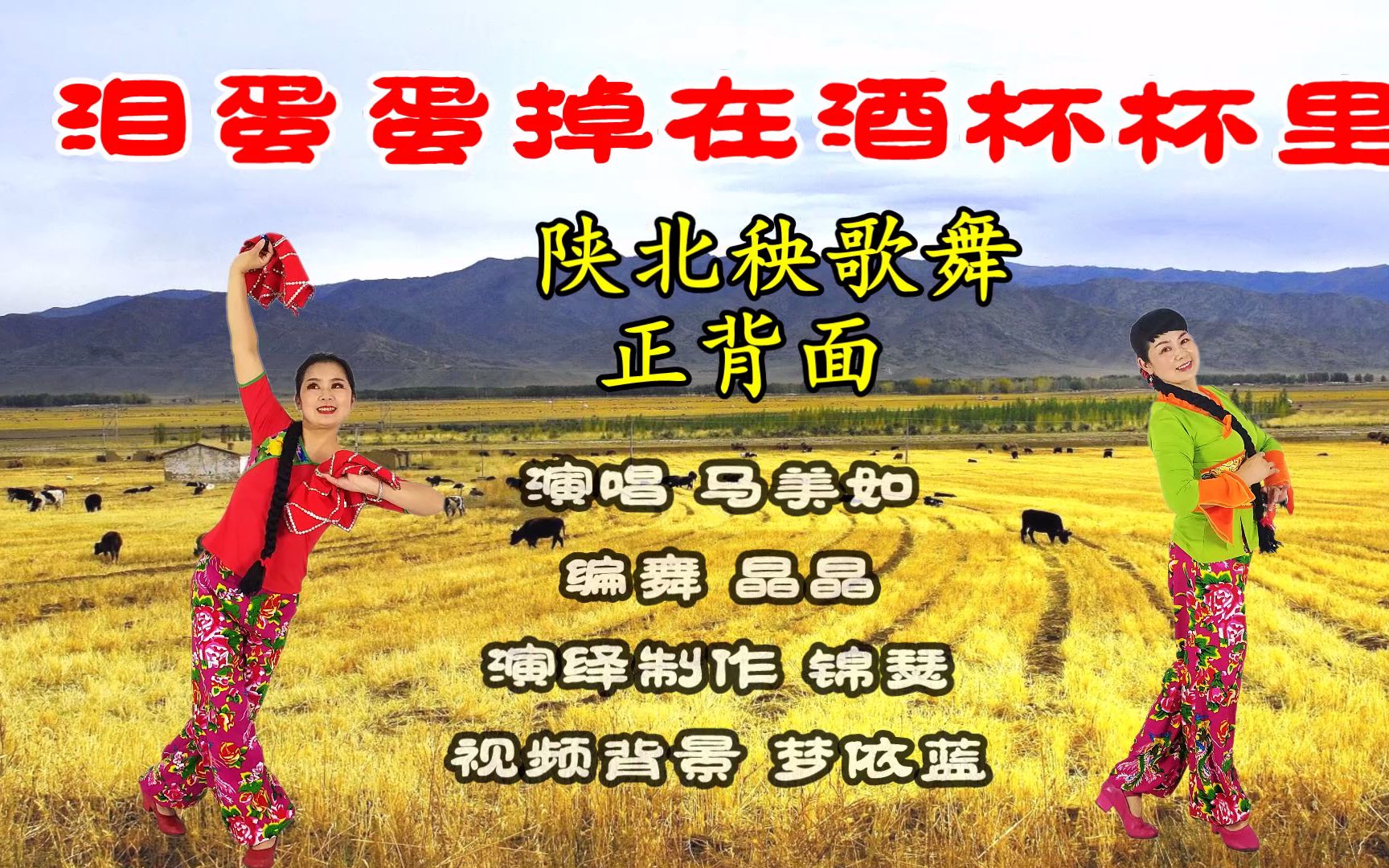 陕北秧歌舞泪蛋蛋掉在酒杯杯里正背面演示编舞晶晶