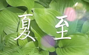 Download Video: 今日夏至 | 花开半夏，夏至已至；山川知夏，岁华灼灼