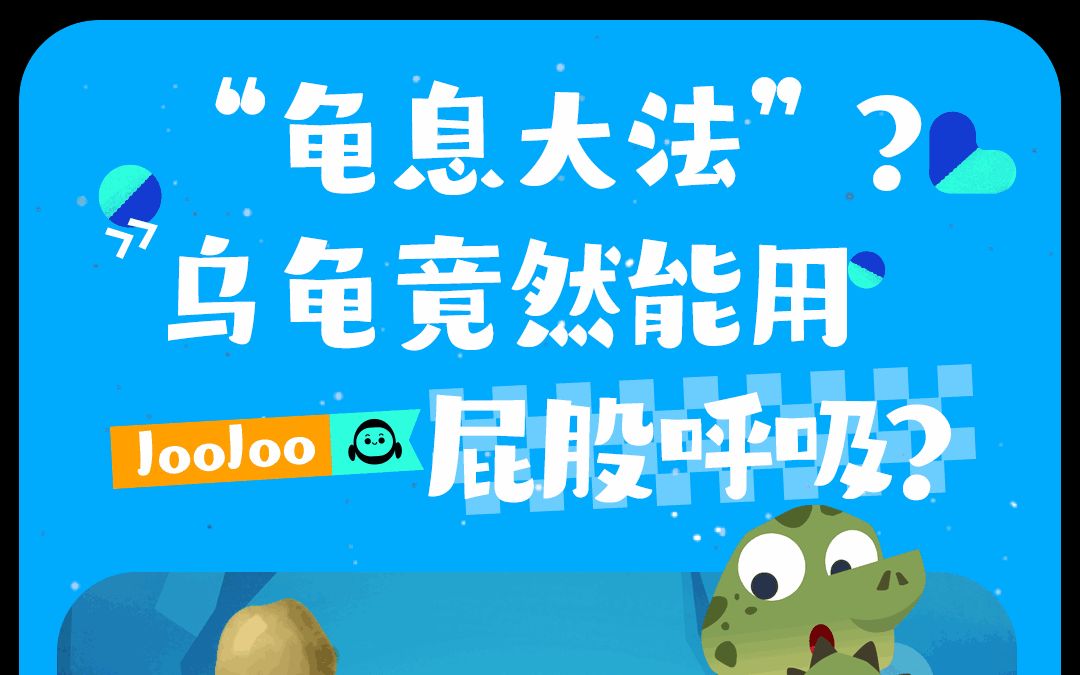 “龟息大法”?乌龟竟然能用屁股呼吸?哔哩哔哩bilibili