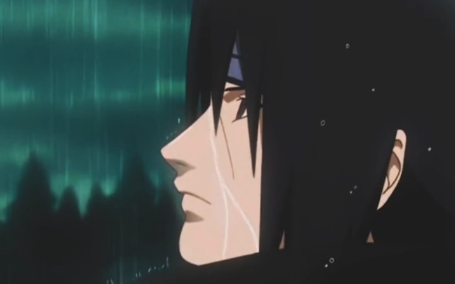 鼬先生,淋雨可对身体不好哦