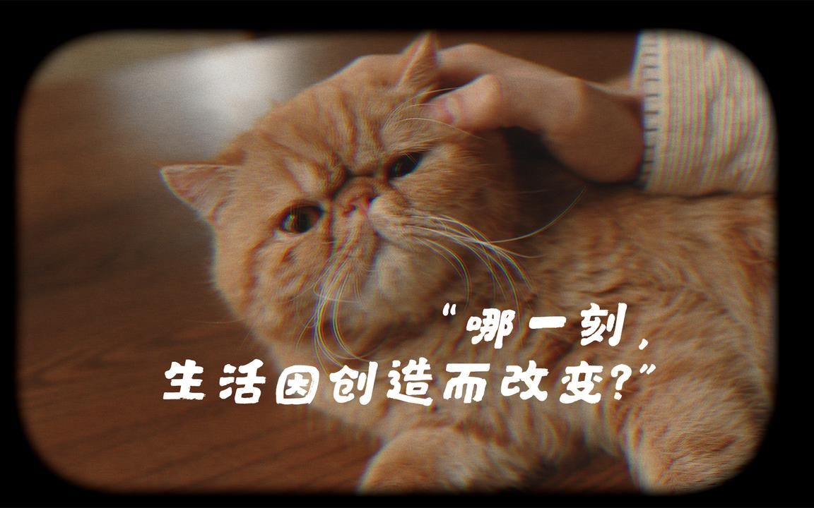 【字节跳动十周年】我们的故事,从「创造」开始哔哩哔哩bilibili