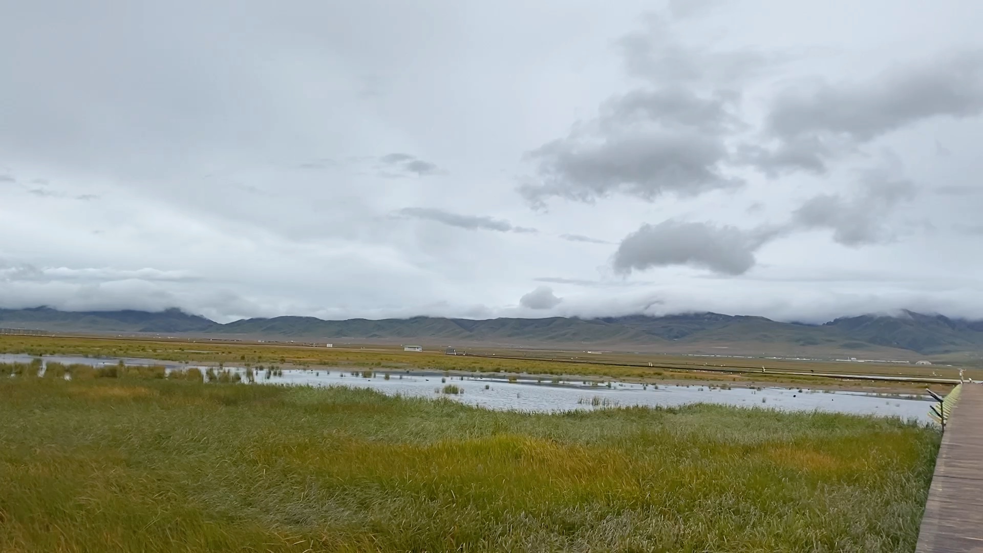 [图]草原沼泽地花湖