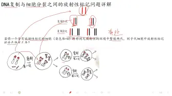 Download Video: DNA复制后放射性标记问题和被标记的染色体条数，把你逼疯了吗？