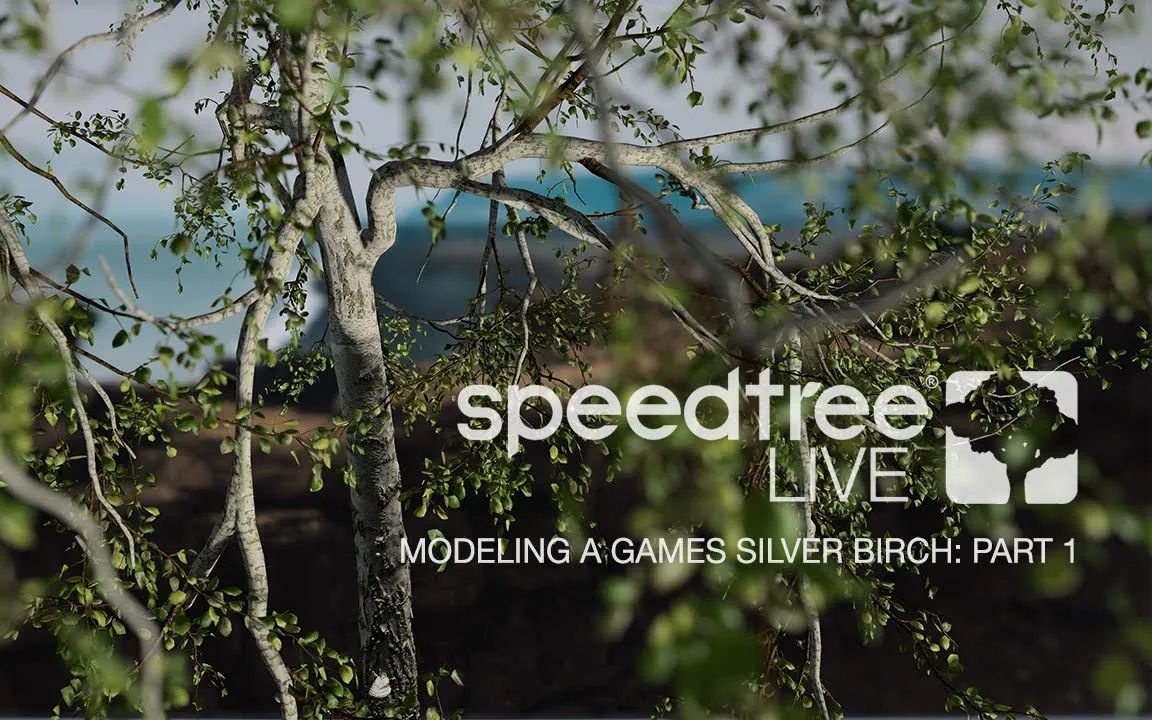 modelingagamessilverbirchpart1机翻中文字幕