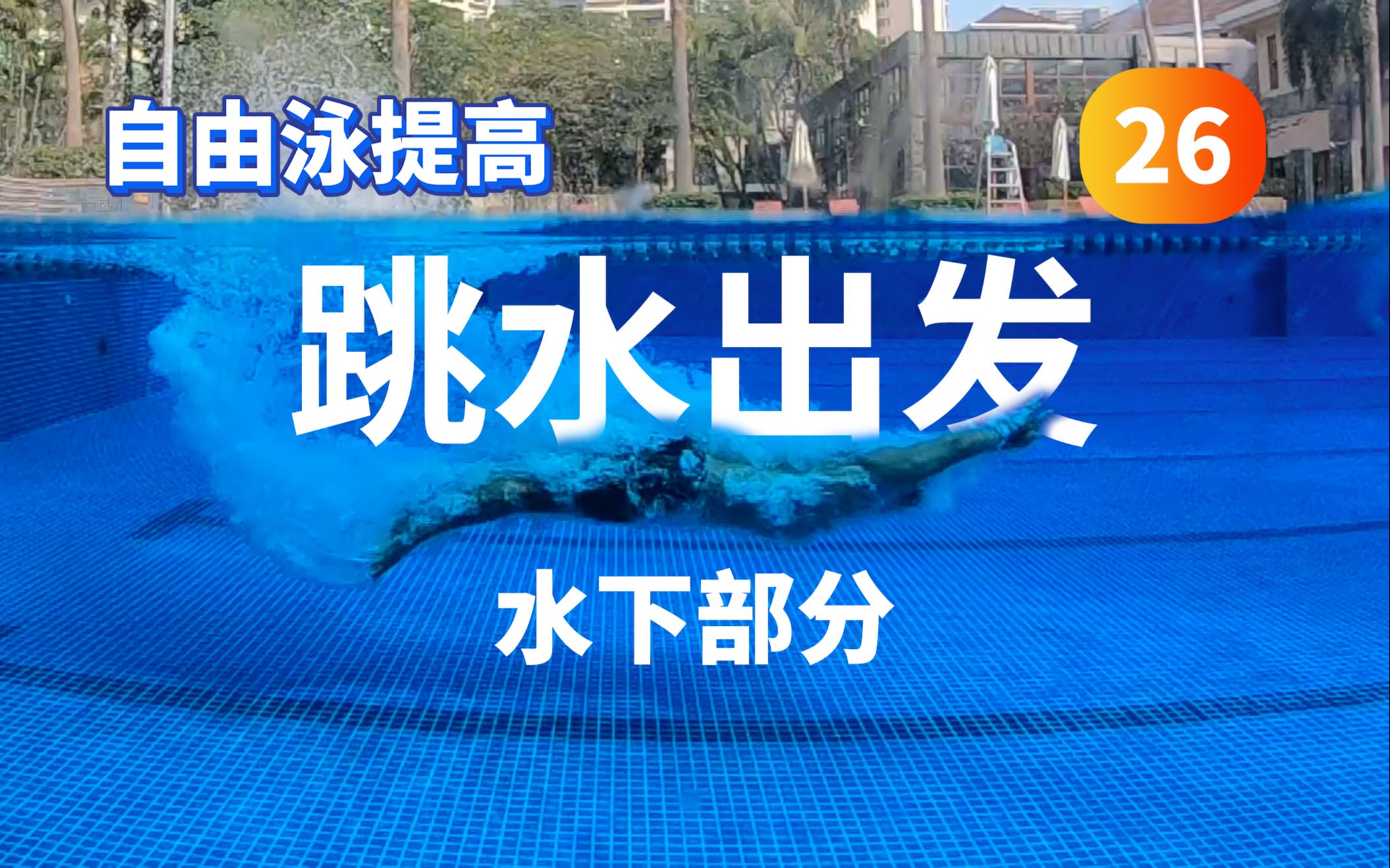 【自由泳提高】26.跳水出发(水下部分)|梦觉教游泳