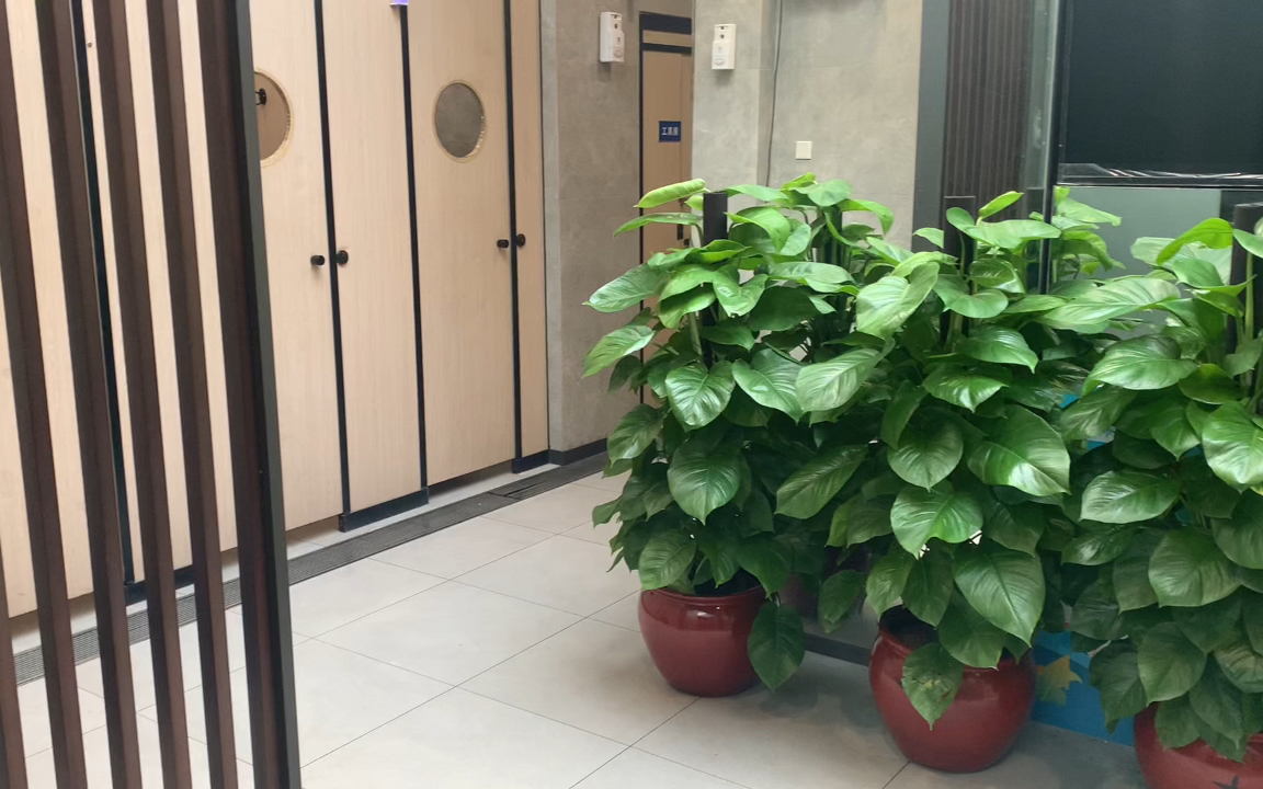 男同志杨大根在广州人民公园参观公厕 很特别的设计
