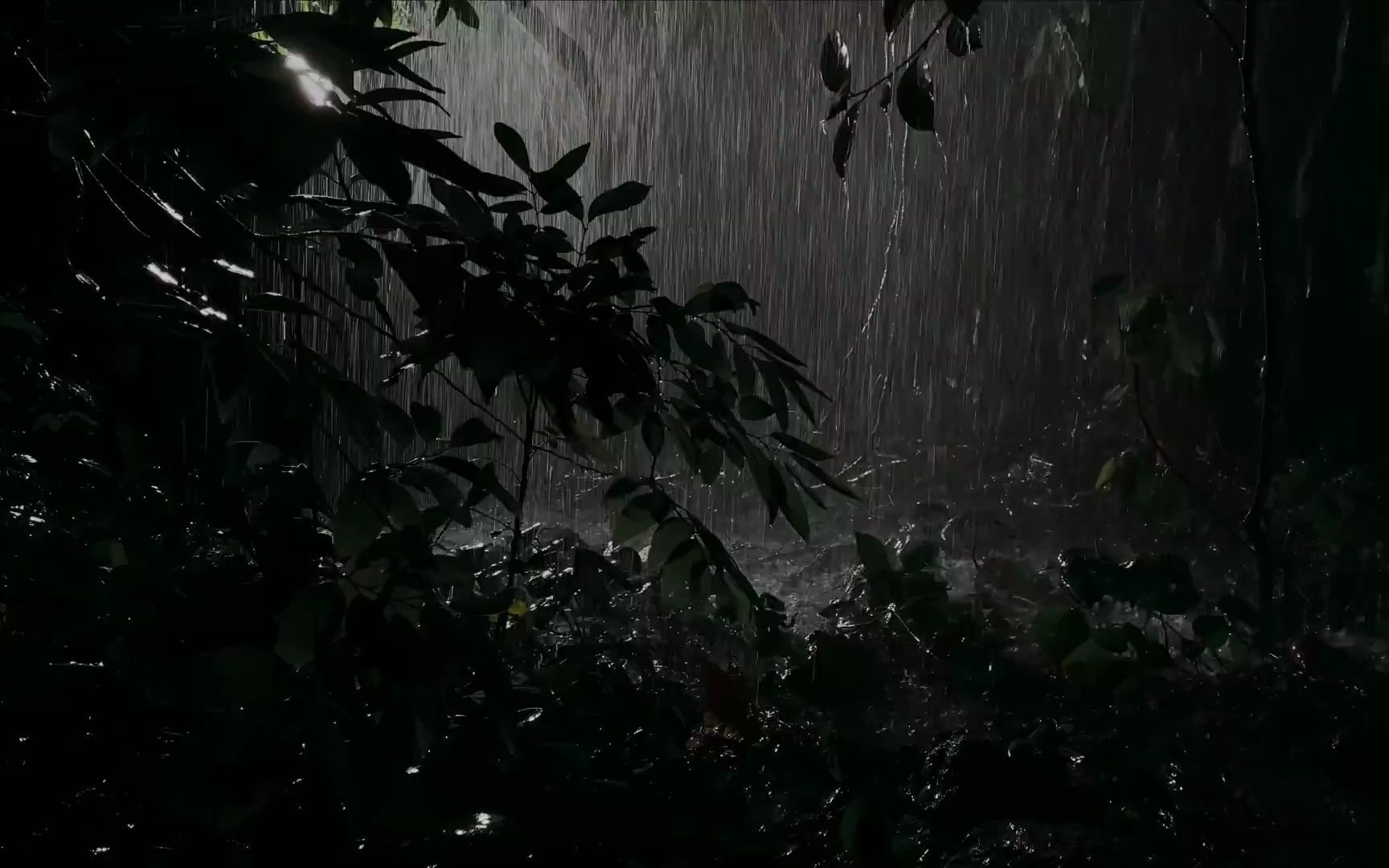 [图]森林里下着凉爽的大雨，暴风雨夜晚的雷声，在大自然的雨声中快速入睡。