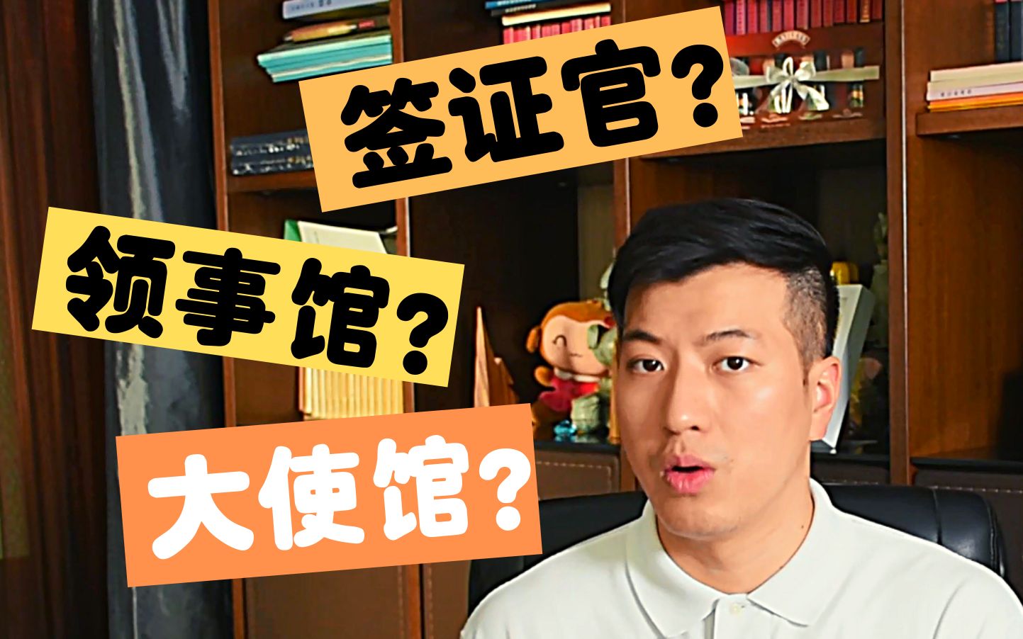 [Talk Shaun] 大使馆?签证?签证官?关于我的工作哔哩哔哩bilibili