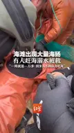 Download Video: 海滩出现大量海肠 有人赶海溺水被救 “一网就值一万多 很多人不顾体力赶海”