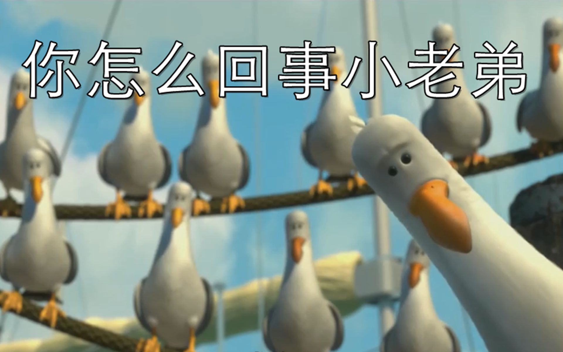 海底总动员里魔性的海鸥叫买买买