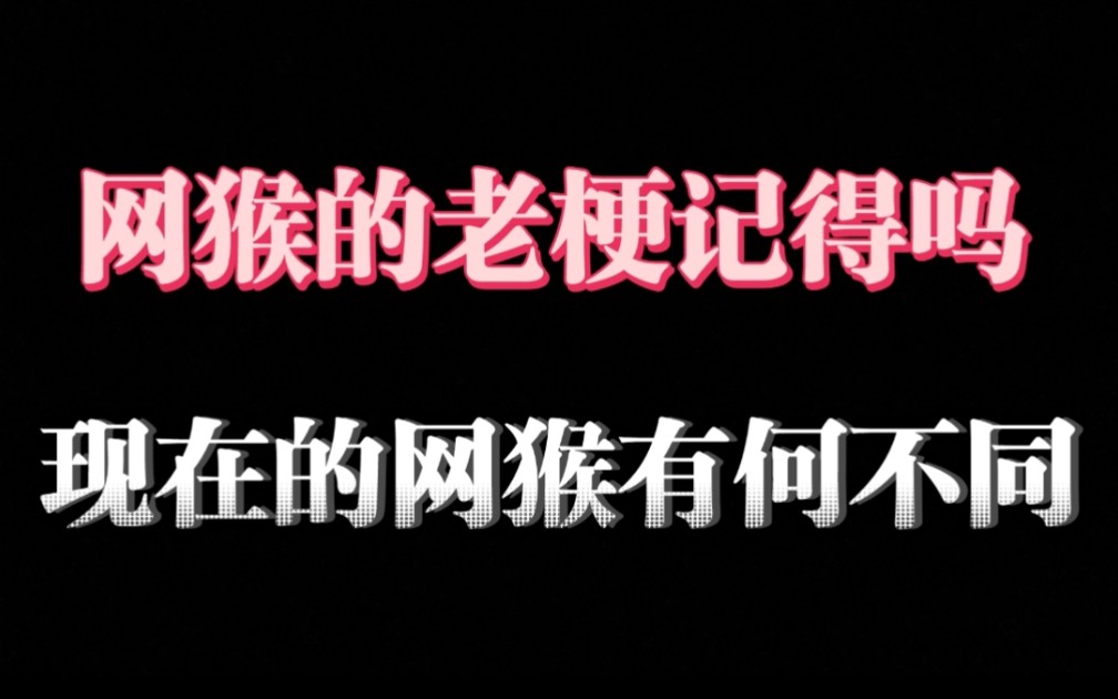 “网猴”的梗你还记得吗?如今的“网猴”有啥进化哔哩哔哩bilibili