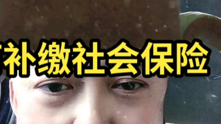 如何补缴社会保险哔哩哔哩bilibili