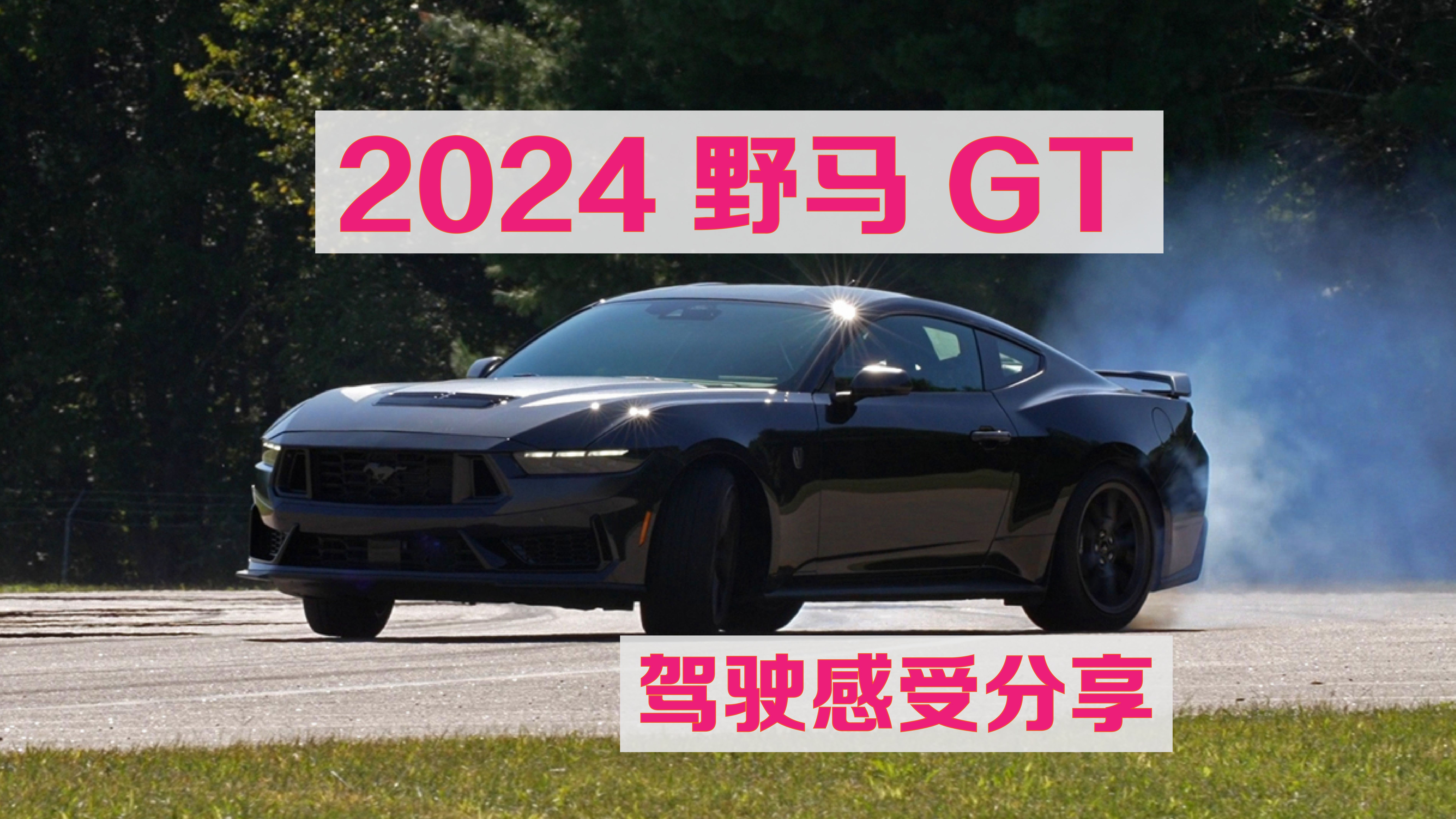 2024 野马GT 性能套装 动态体验分享哔哩哔哩bilibili