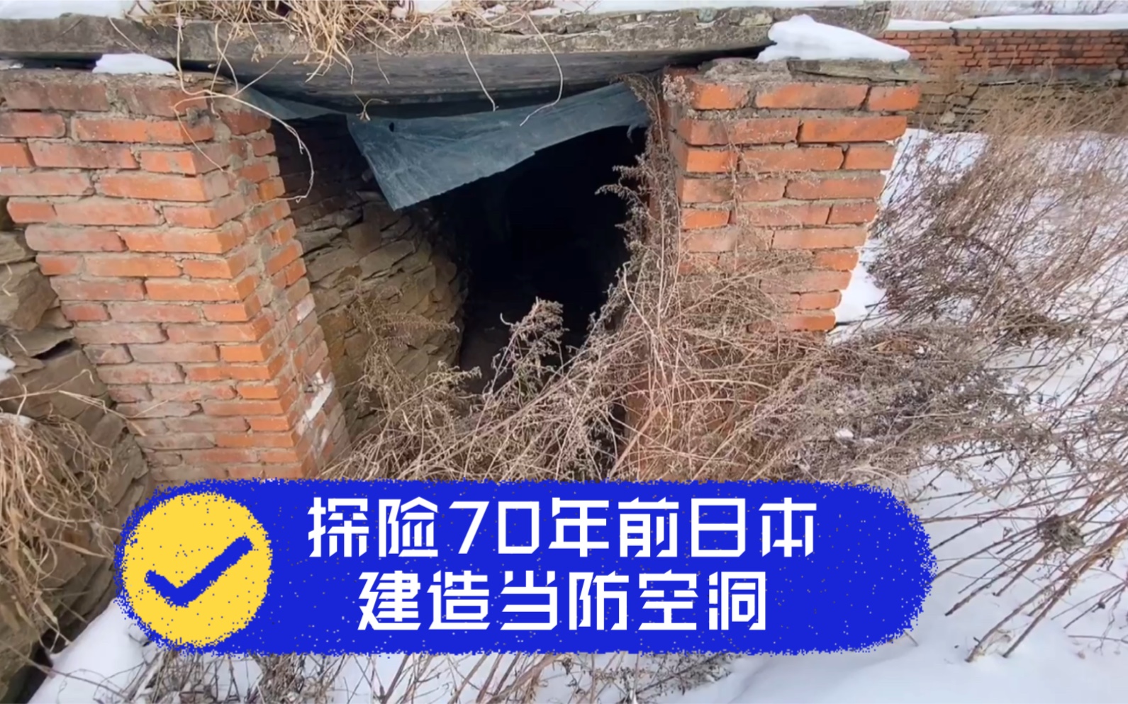 探险70年前日本建造的防空洞最后没敢进去看看咋回事