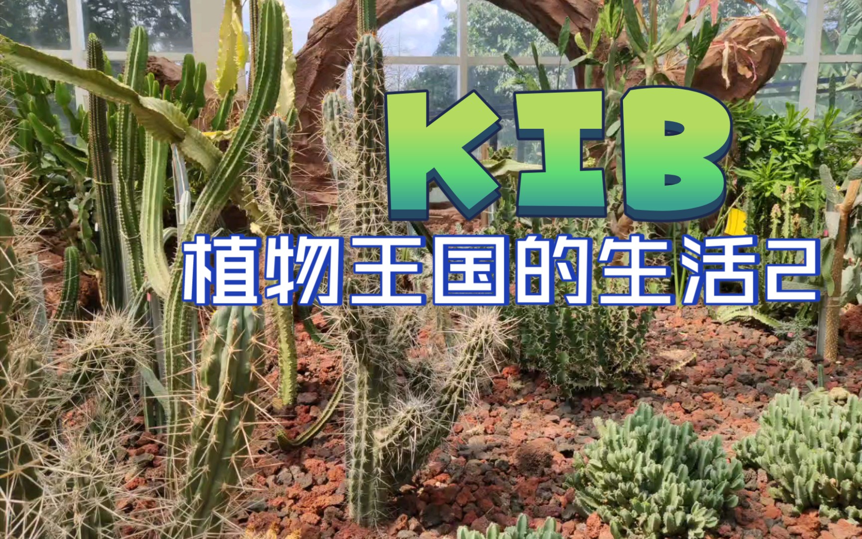 kib中国科学院昆植所植物王国夏令营我的视角part2
