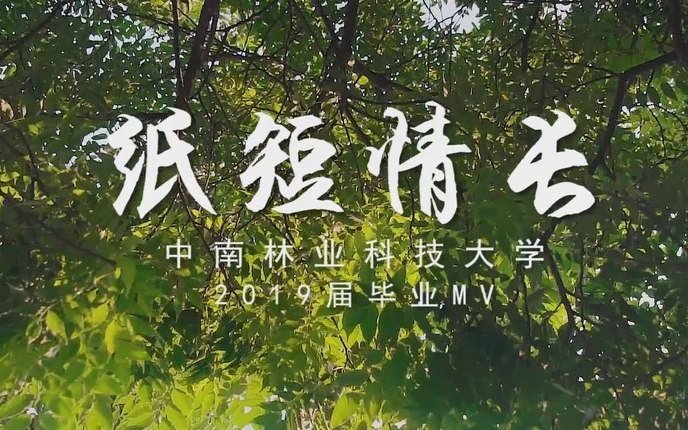 [图]纸短情长——2019届中南林业科技大学毕业MV