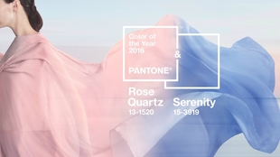 16 Pantone流行色指甲油色号 哔哩哔哩 つロ干杯 Bilibili