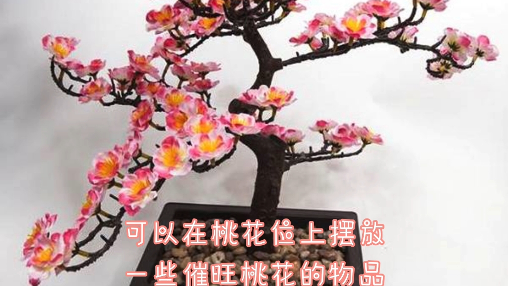 居住桃花岛,招来满满桃花运,快来接好运!哔哩哔哩bilibili