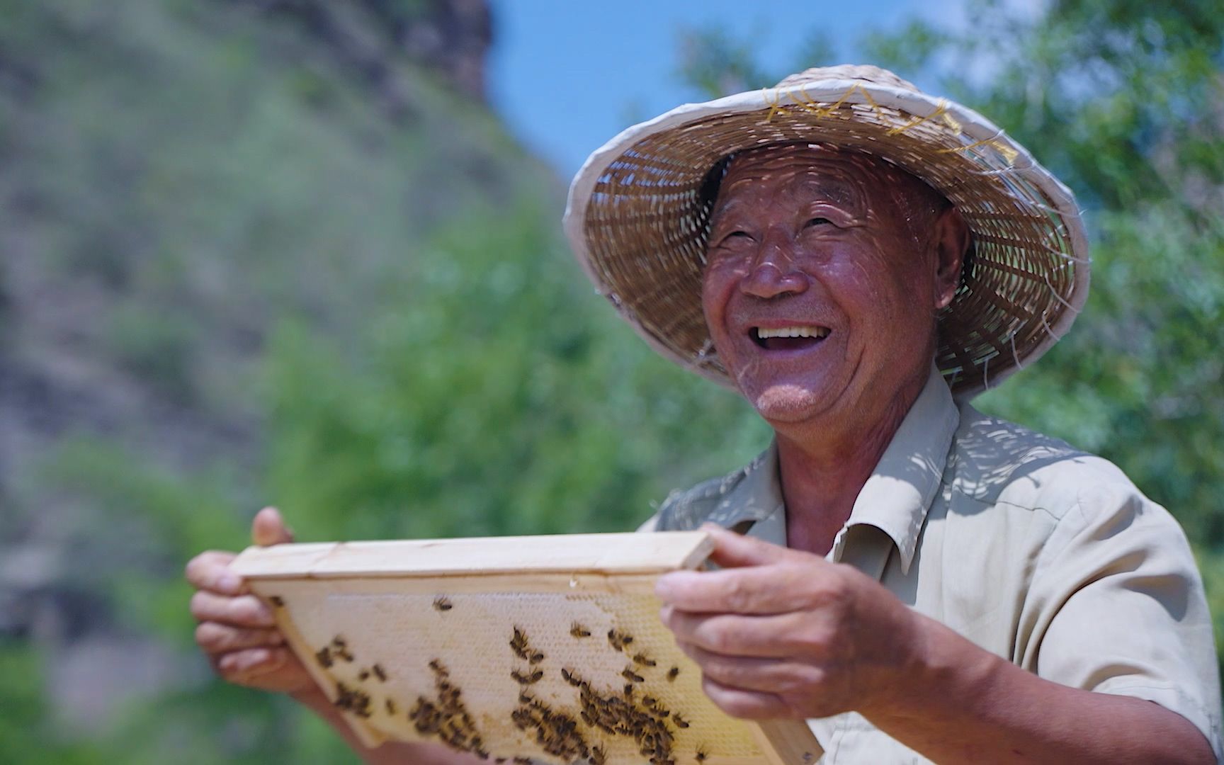 佳县丰禾生物科技有限公司哔哩哔哩bilibili