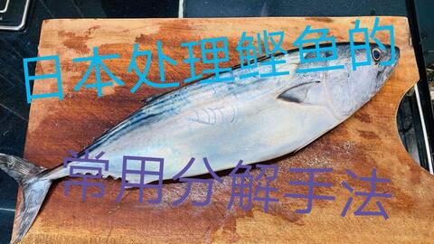 鱼親父 鱼类熟成简单实用的方法完整教学 哔哩哔哩