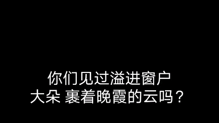 你们见过画中的云溢进窗户,大朵大朵的光包裹绿萝吗?哔哩哔哩bilibili